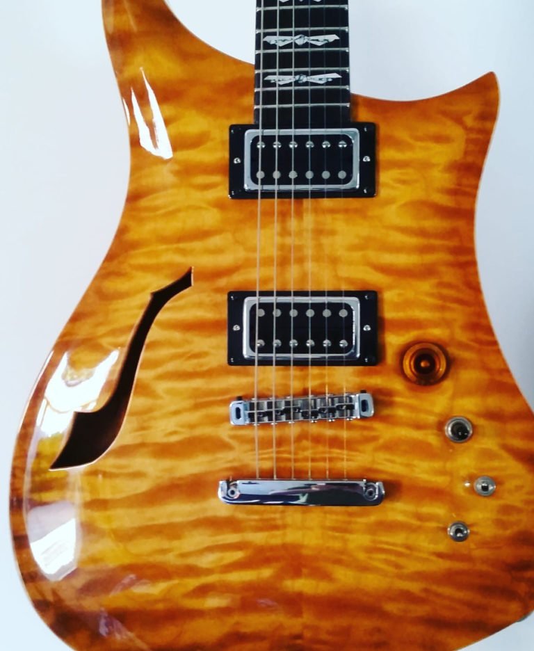 chambered body guitars DELM Handmade Australian Guitars