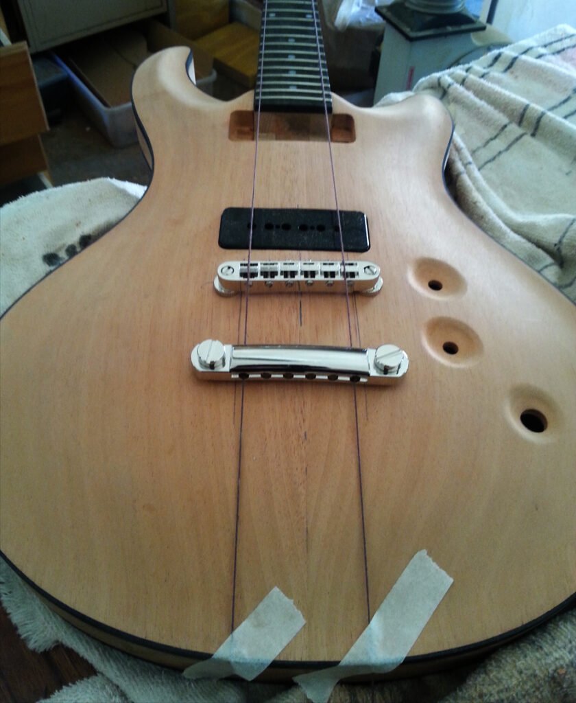 chambered body guitars DELM Handmade Australian Guitars