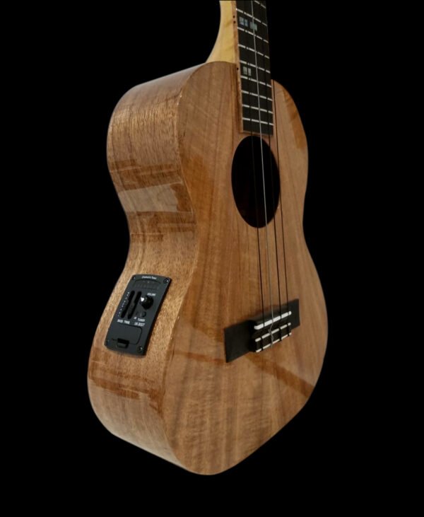 Ukuleles Delm Handmade Australian Guitars